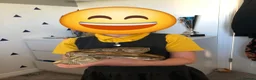 Python Snake reptiles for sale: Male Enchi Mojave 66% het Monarch ball python - Advert 4