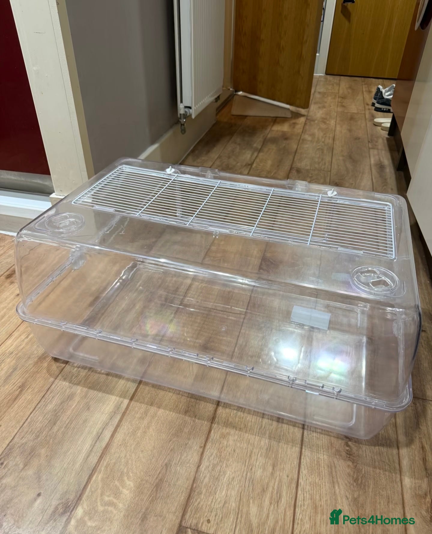 Hamster rodents Syrian Hamster Full Deluxe Setup - Advert 13