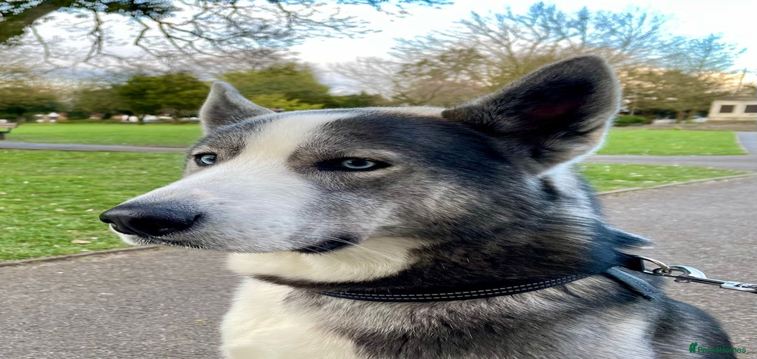 Gallery Image {{count}}