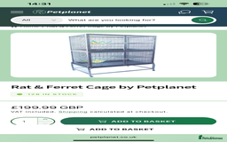 Ferret rodents for sale: 2 Bonded male ferrets, cage and full set up - Image 16