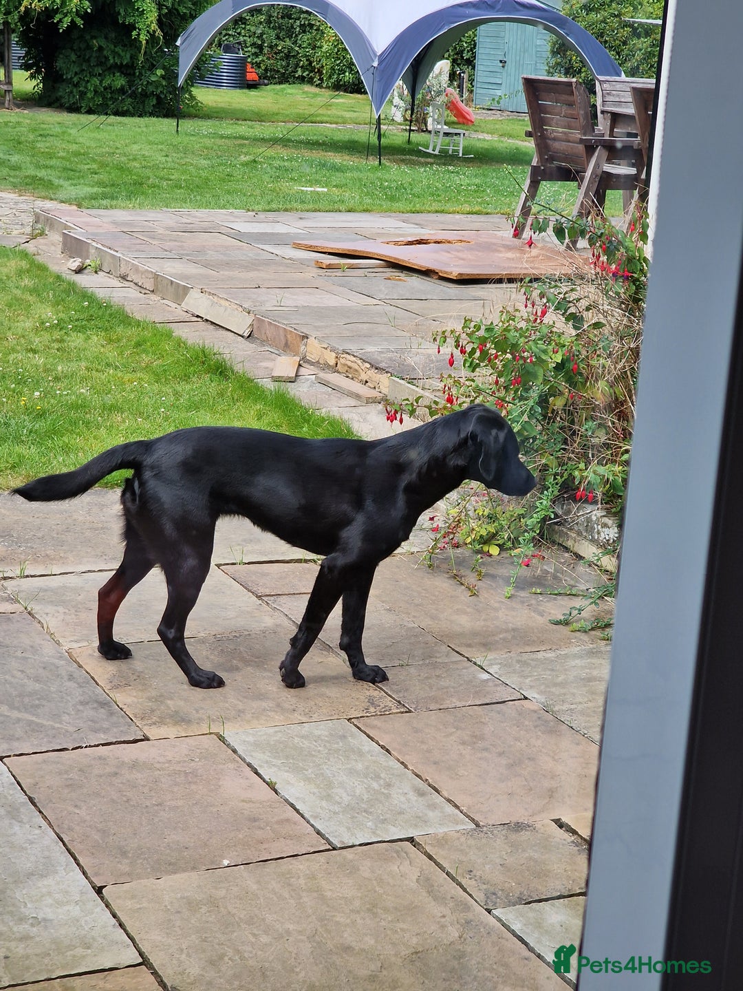 Gallery Image {{count}}