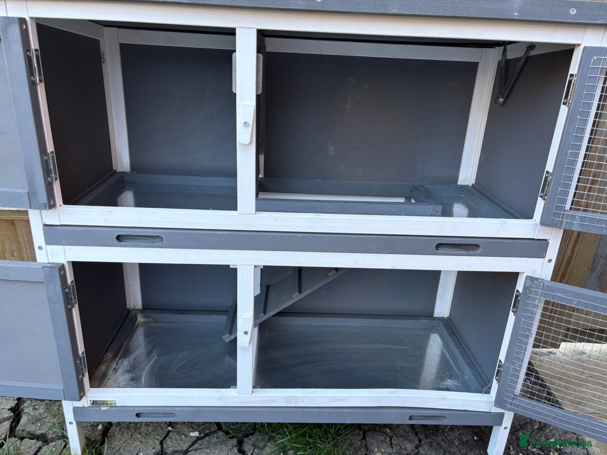 Netherland Dwarf rabbits for sale: Rabbit hutch / run for sale  - Advert 1