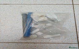 Macaws birds for sale: Blue & Gold Macaw For Sale - Image 26