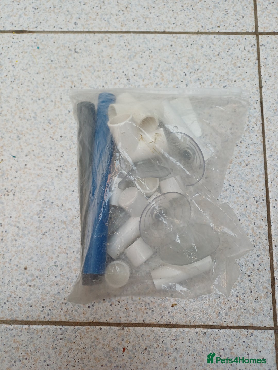 Macaws birds for sale: Blue & Gold Macaw For Sale - Image 26