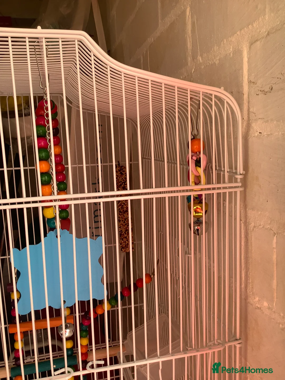 Budgerigars birds for sale: Bird cage on wheels  - Advert 5