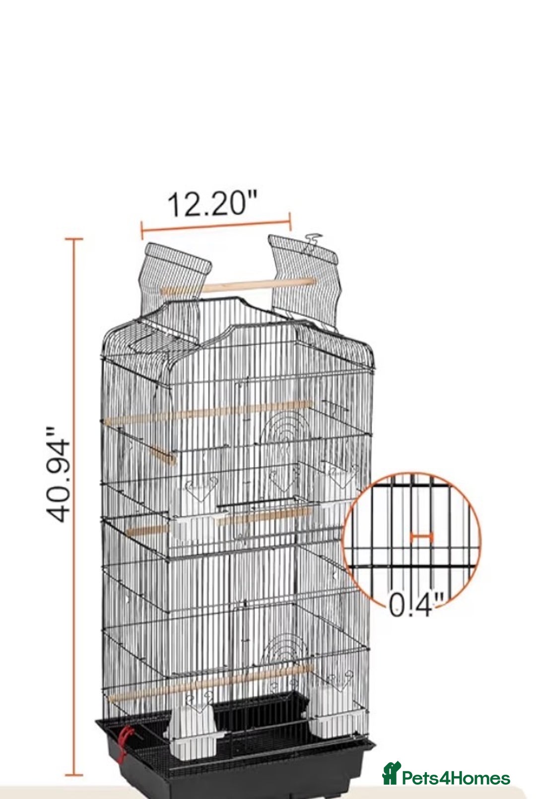 Cockatiels birds for sale: young male cockatiel untaimed (CAGE INCLUDED)  - Advert 4