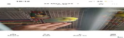 Budgerigars birds for sale: Budgies for sale in Leeds - Advert 1