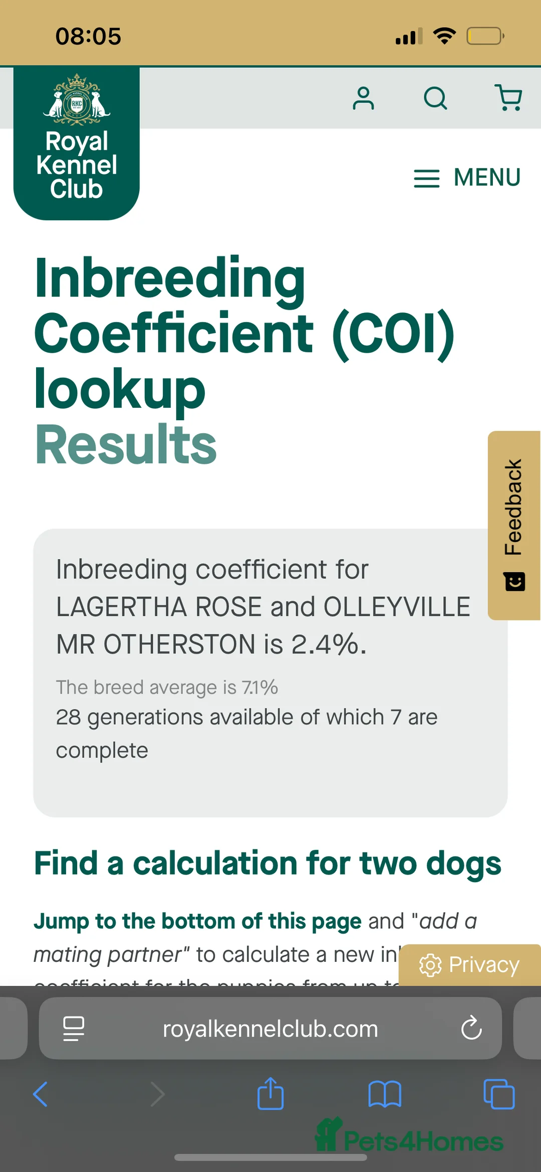 Boston Terrier dogs for sale: Willow’s Lovely Puppies 🐾 - Advert 5