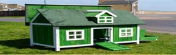 Chickens poultry for sale: Chicken coops with hens and rooster - Advert 5