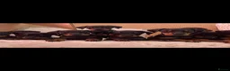 Dobermann dogs for sale: Doberman Puppies - Advert 2