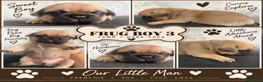 Frug 3