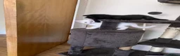 Scottish Fold cats for sale: Khao Manee & Scottish Fold kittens - Advert 11