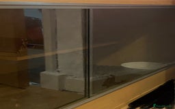 Python Snake reptiles for sale: Royal python snake and enclosure  - Image 5