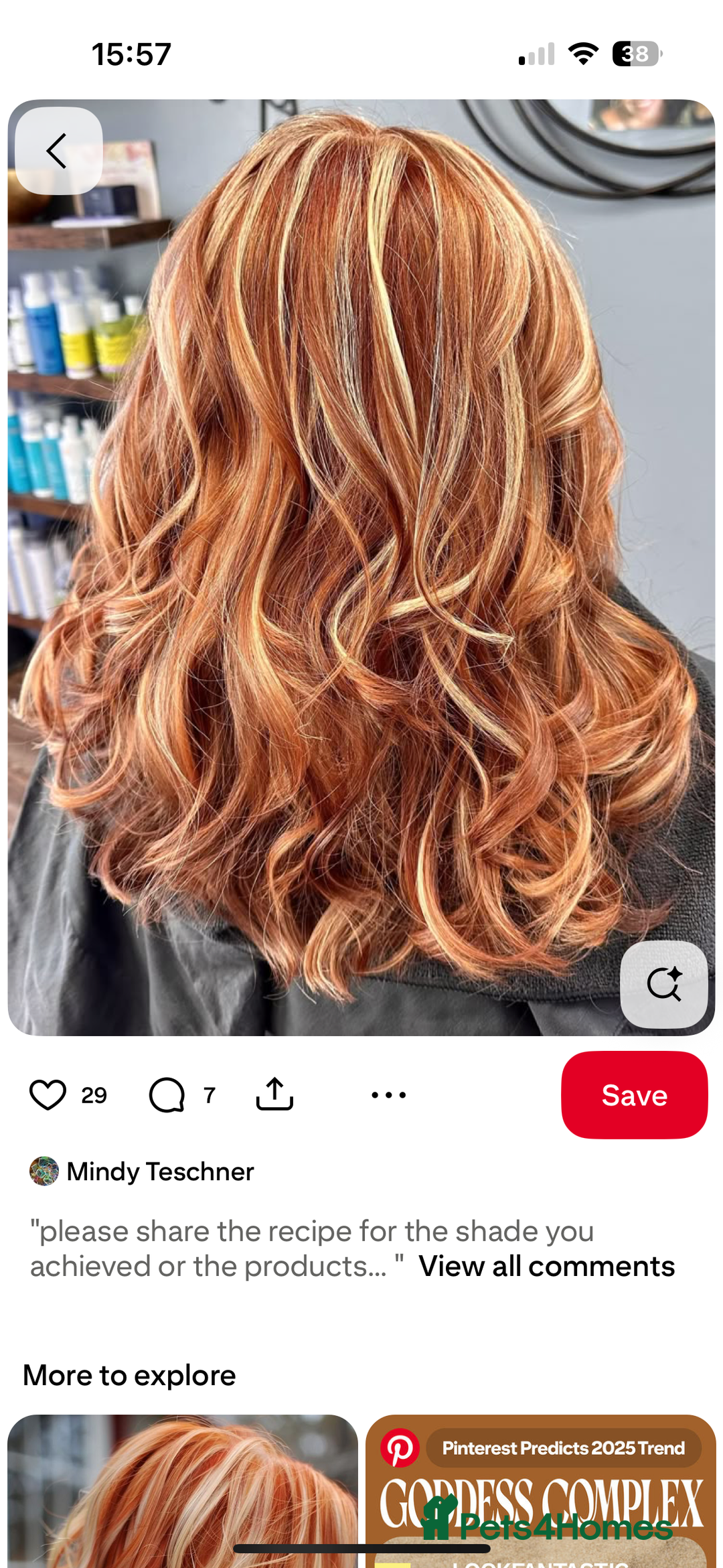 Border Collie dogs for sale: 9 month old female border collie  - Image 5