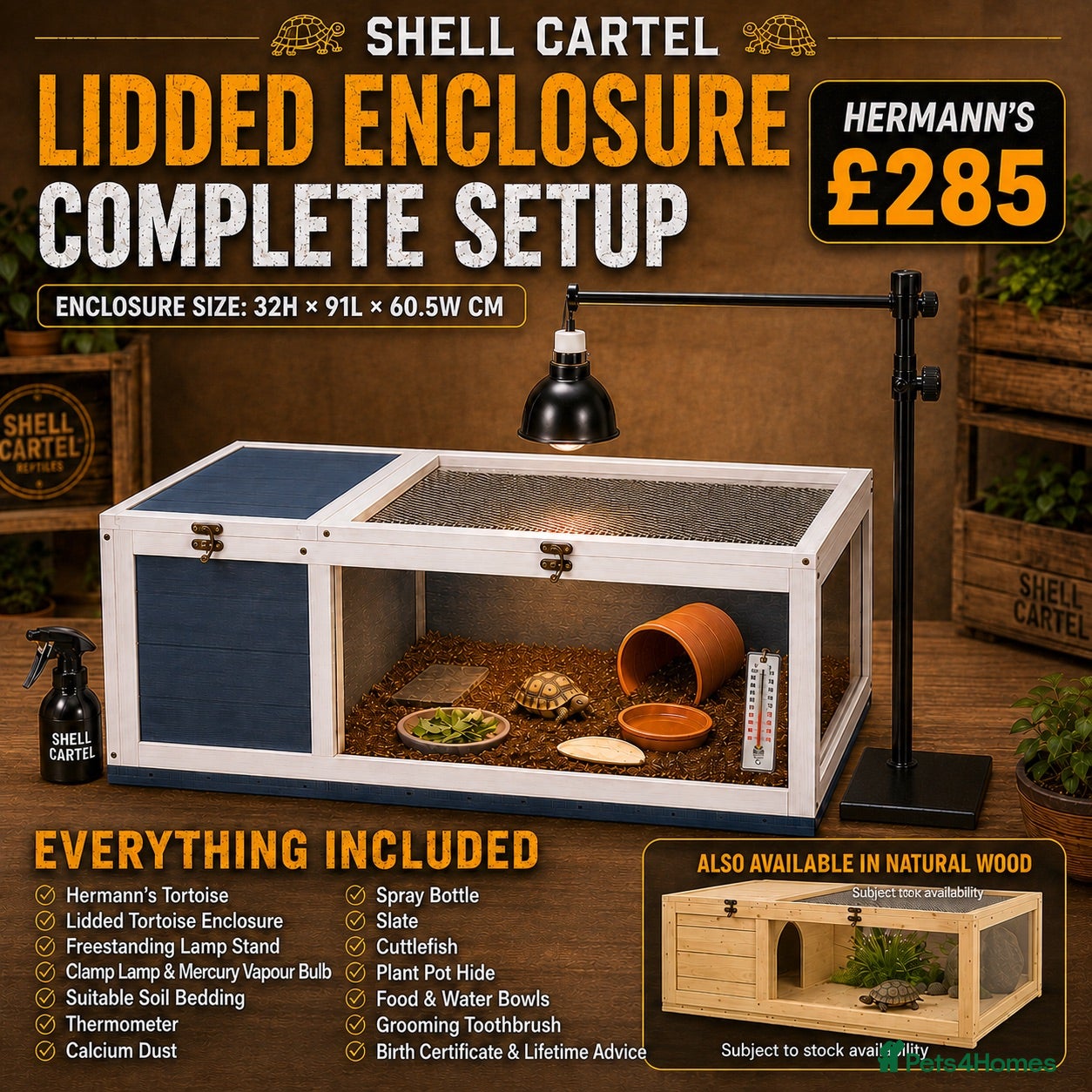 Tortoise reptiles BABY HERMANNS & SET UPS - Advert 2