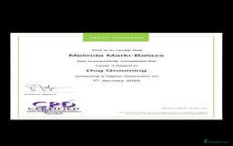 Yorkshire Terrier dogs for sale: 🤎 Mocha 🤎 Small Biro Yorkie Boy 1,9kg ready now - Image 4