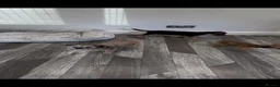 Border Terrier dogs for sale: Border terrier - Advert 1