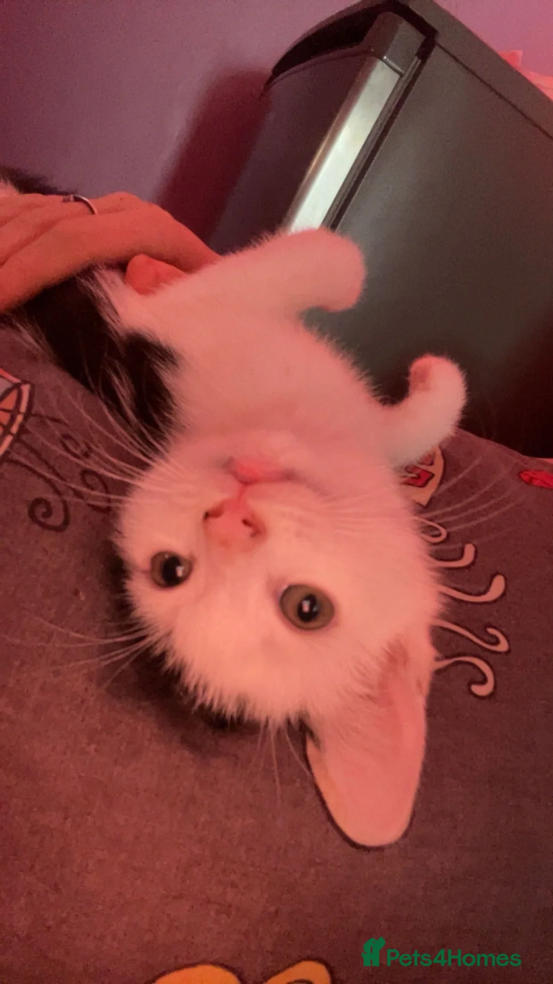 Gallery Image {{count}}