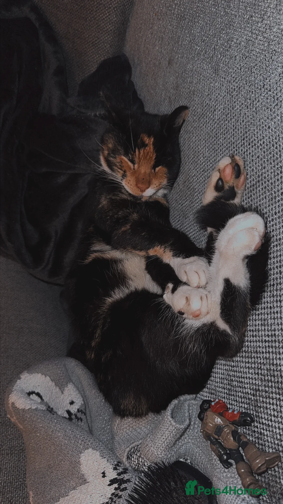 Gallery Image {{count}}