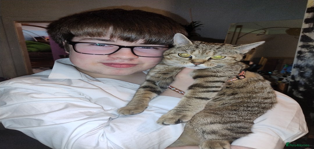 Gallery Image {{count}}