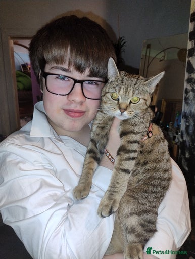 Gallery Image {{count}}