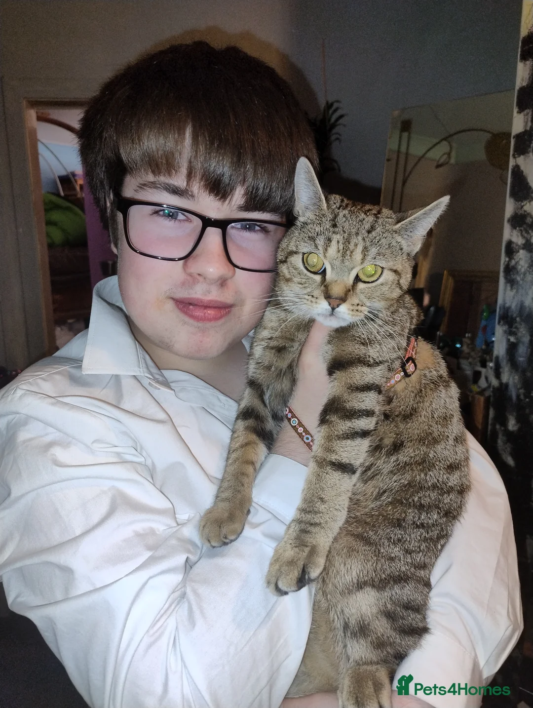 Gallery Image {{count}}