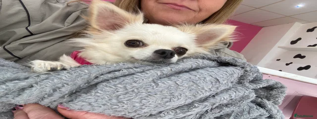 Lucy