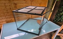 Frog reptiles for sale: Kit terrarium - Image 7
