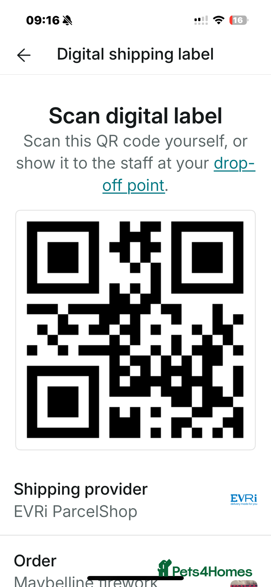 British Shorthair cats for sale: British shorthair x Bengal kittens - Image 18