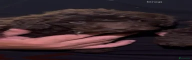 Cockapoo 3