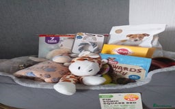 Dachshund dogs for sale: Quality miniture dachshund forSale Ready now  - Image 14
