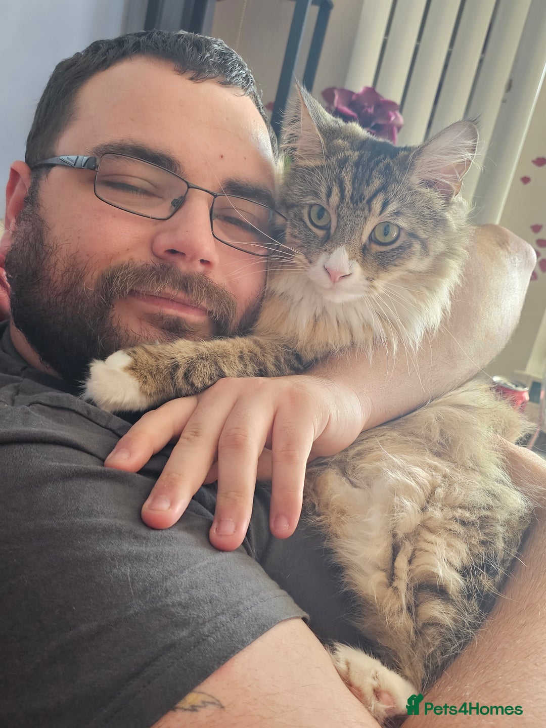 Gallery Image {{count}}