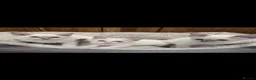 Ragdoll cats for sale: 4 Stunning Ragdoll Kittens  in Basildon - Advert 18