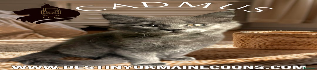 Cadmus