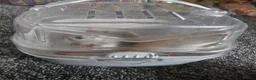 Gerbil rodents for sale: 2 female gerbils and cage in Spennymoor - Advert 4