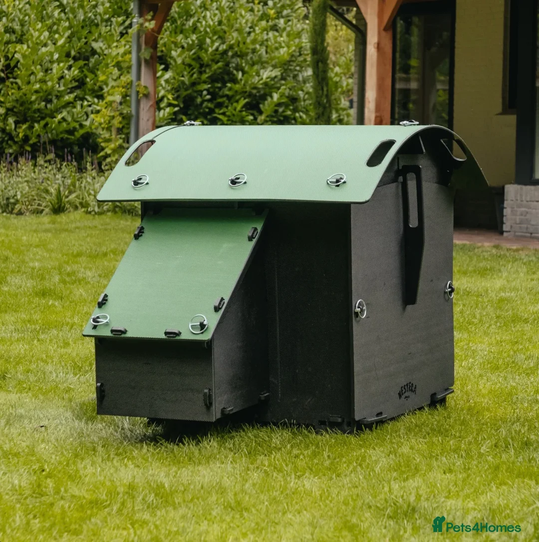 Mixed Breed poultry for sale: Chicken Coop Medium - Reycled - 8-12 hens - Advert 2