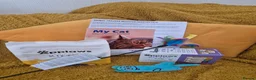 Maine Coon cats for sale: Gorgeous maine coon babies  - Advert 5