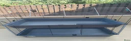 Guinea Pig rodents for sale: Guinea pigs for rehoming  - Advert 5