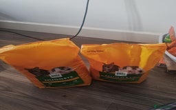 Rat rodents for sale: Starter rat cage with accessories and 2 rats. - Image 5