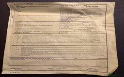 Tortoise reptiles for sale: Herman tortoise  - Advert 8