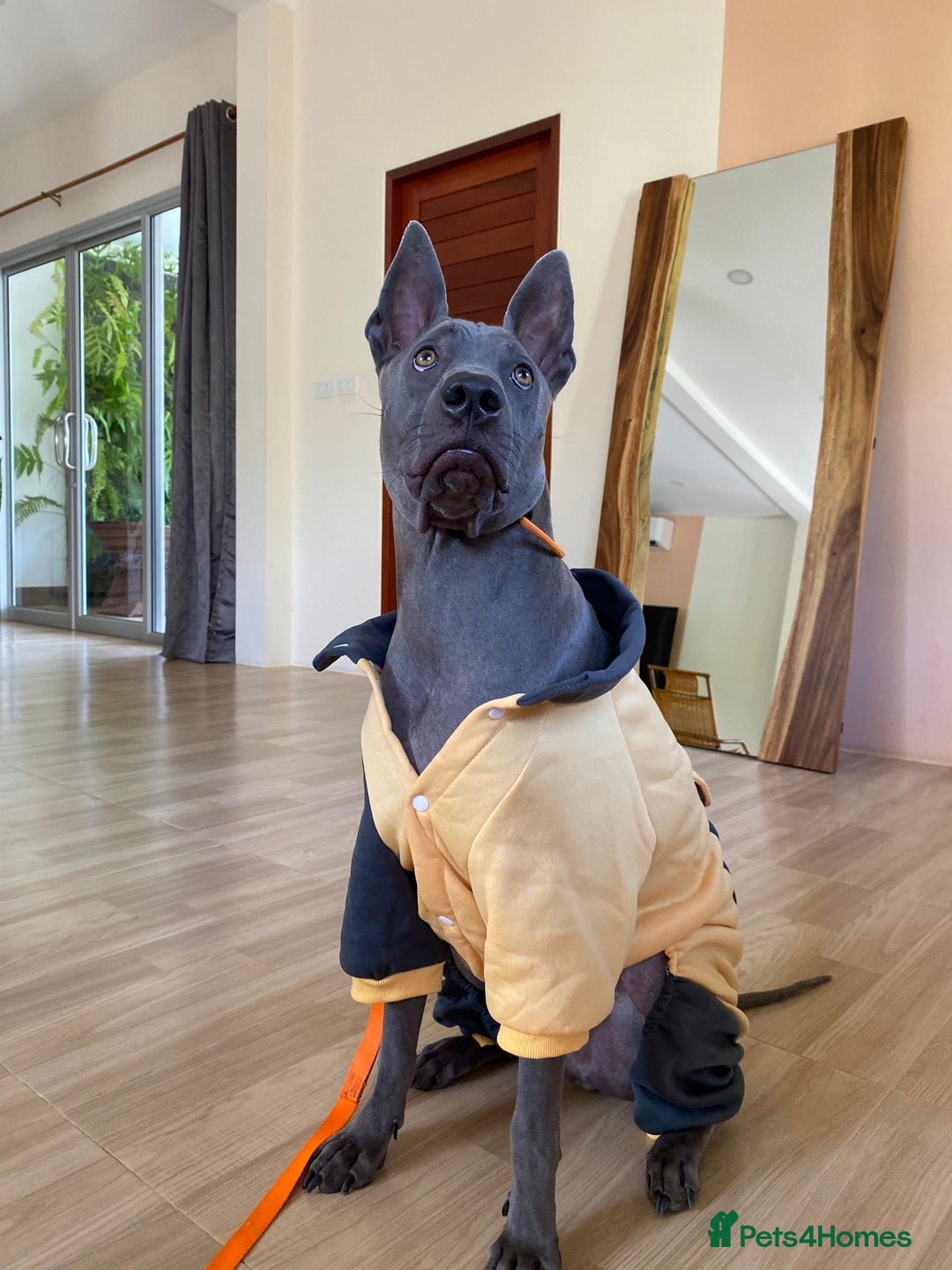 Gallery Image {{count}}