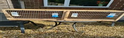 Budgerigars birds for sale: Bird Cages - Advert 4