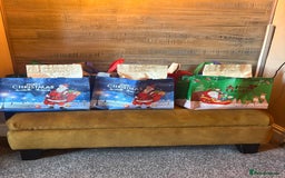 French Bulldog dogs for sale: Pedigree Frenchies - New Shade Isabella’s & Lilacs - Image 29