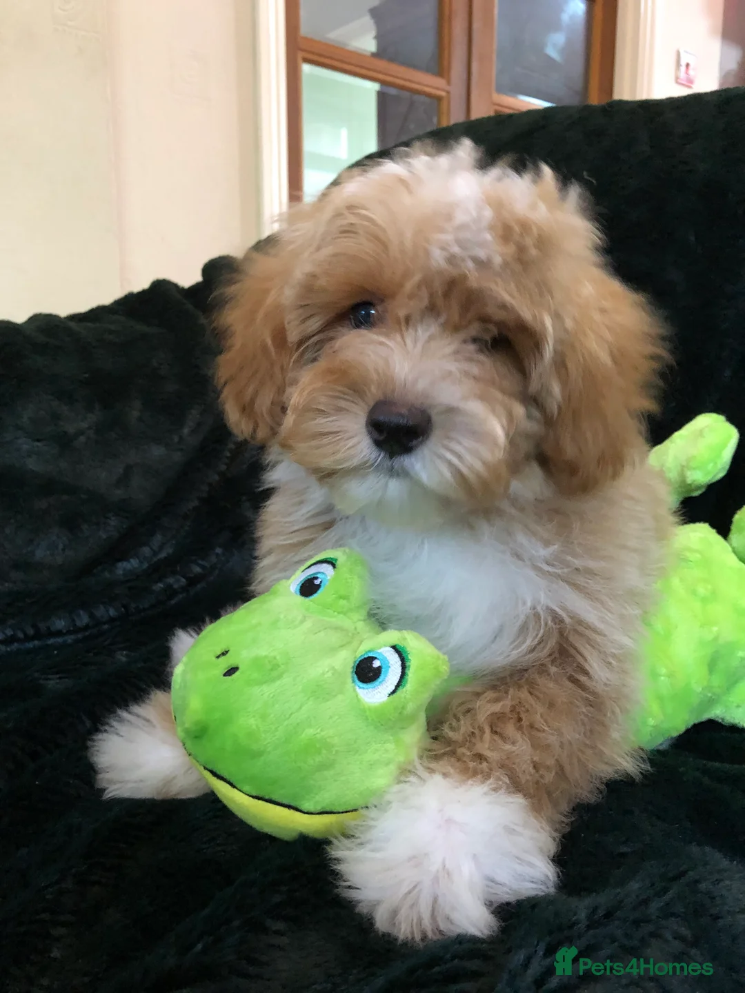 Gallery Image {{count}}