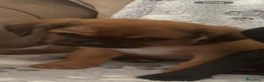 Jug 2