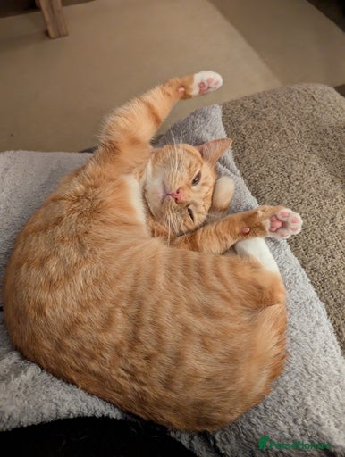 Gallery Image {{count}}