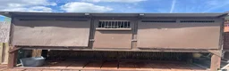 Pigeons birds for sale: Homing pigeons for sale  in Stoke-on-Trent - Advert 6