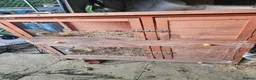 Netherland Dwarf rabbits for sale: Double Hutch - Advert 1