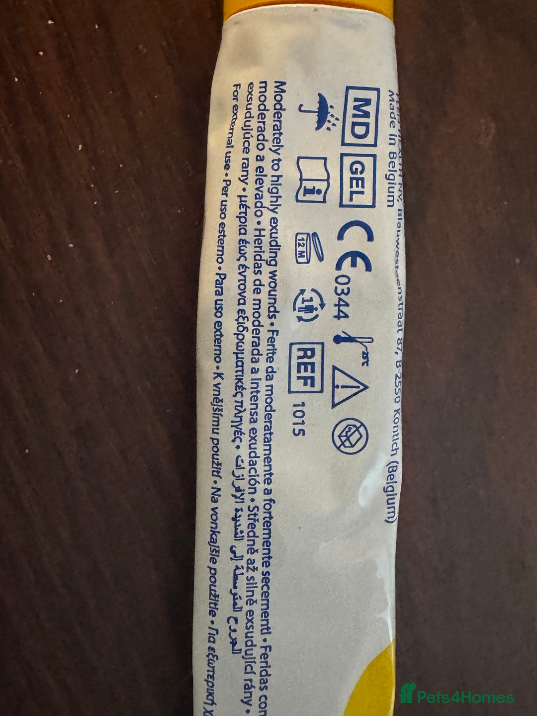 Labrador Retriever dogs for sale: Chunky KC reg Show line Champagnes boys  - Image 11