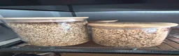 Budgerigars birds for sale: Female & Male Budgies with cage and accessories  - Advert 8